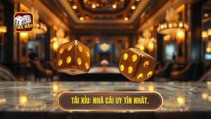 Nhà Cái Tài Xỉu Uy Tín